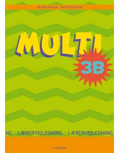 MULTI 3B