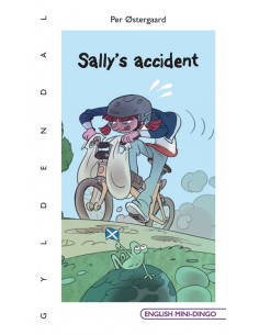 Sally's accident