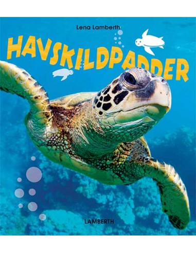 Havskildpadder