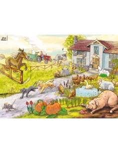 First Choice Beginners...