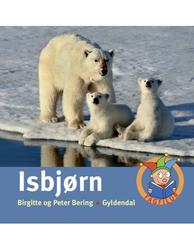 Isbjørn