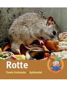 Rotte