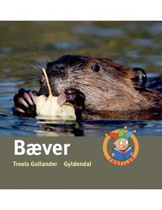Bæver