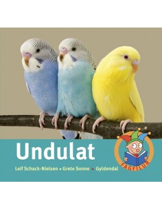 Undulat