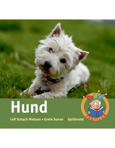 Hund