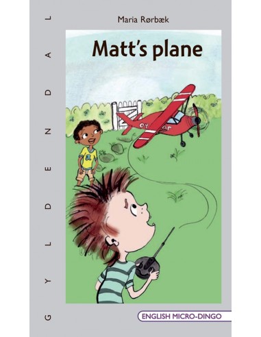 Matt's plane