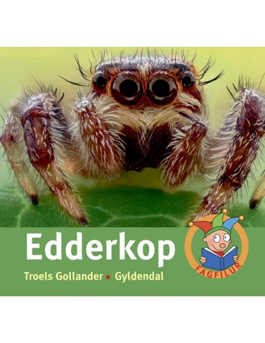 Edderkop