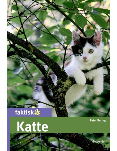 Katte