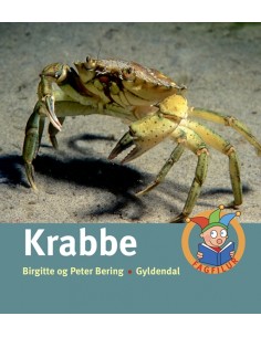 Krabbe