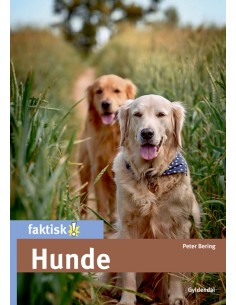 Hunde