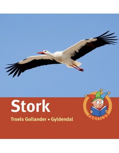 Stork