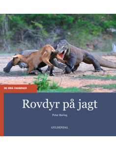 Rovdyr på jagt