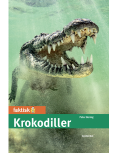 Krokodiller