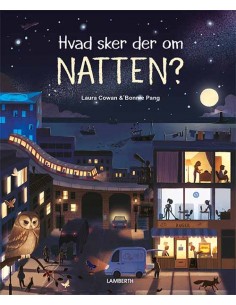 Hvad sker der om natten?