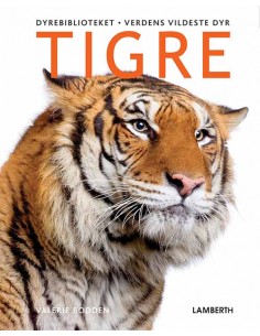 Tigre