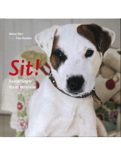 Sit!