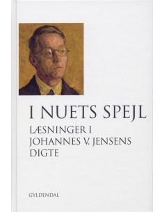 I nuets spejl