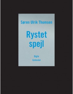 Rystet spejl
