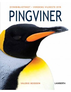 Pingviner
