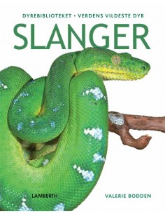 Slanger