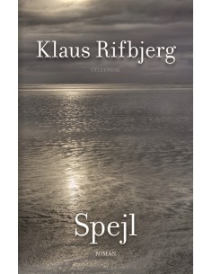 Spejl