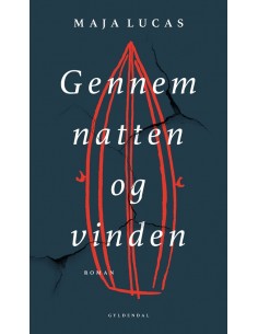 Gennem natten og vinden