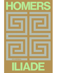 Homers Iliade