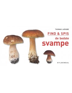FIND & SPIS de bedste svampe