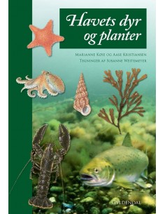 Havets dyr og planter