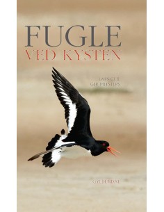 Fugle ved kysten