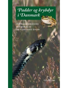 Padder og krybdyr i Danmark