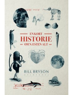 En kort historie om næsten alt