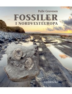 Fossiler i Nordvesteuropa