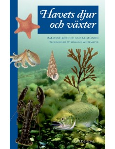 Havets djur och växter