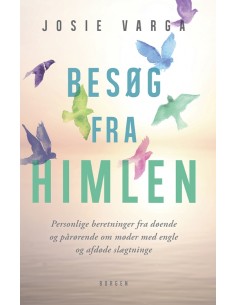 Besøg fra himlen