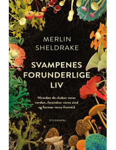 Svampenes forunderlige liv