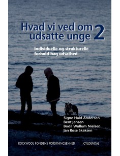 Hvad vi ved om udsatte unge 2