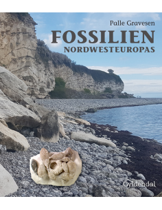Fossilien Nordwesteuropas
