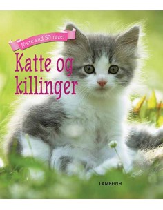 Katte og killinger