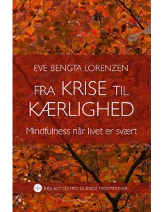 Fra krise til kærlighed