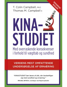 Kinastudiet