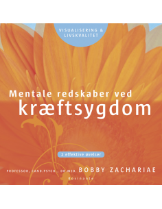 Mentale redskaber ved...