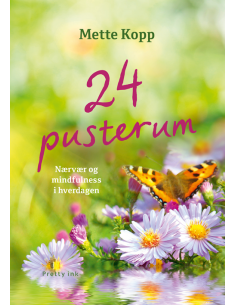 24 pusterum