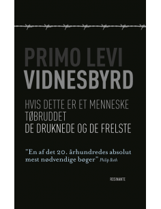 Vidnesbyrd