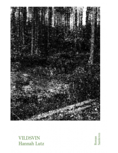 Vildsvin