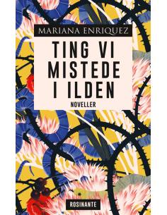 Ting vi mistede i ilden