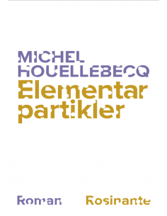 Elementarpartikler