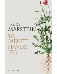 Så meget havde jeg