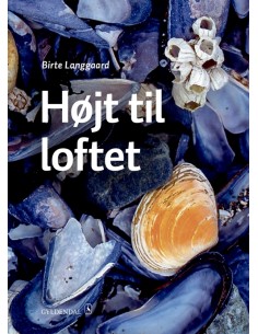 Højt til loftet