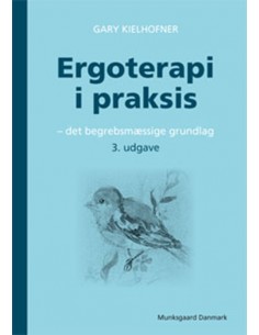 Ergoterapi i praksis